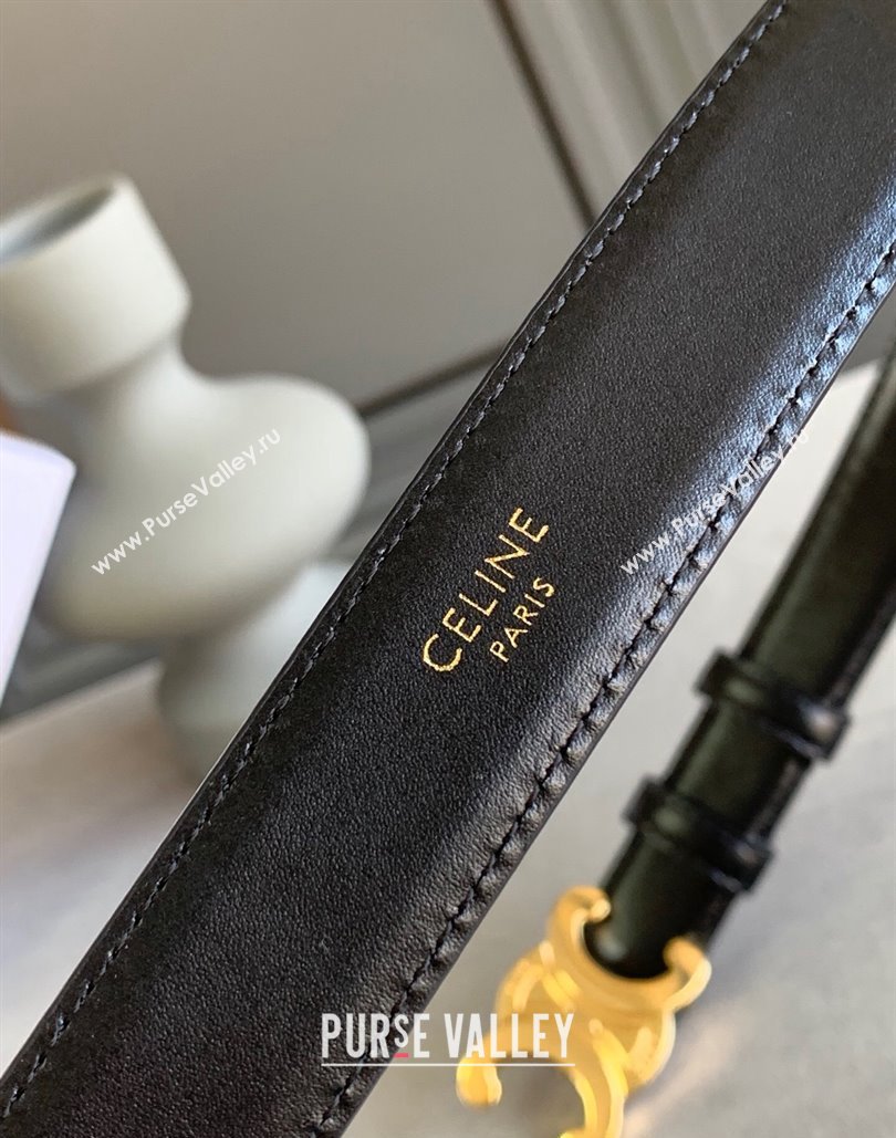 Celine 2.5cm Medium Triomphe Belt 16 (99belt-23122866)