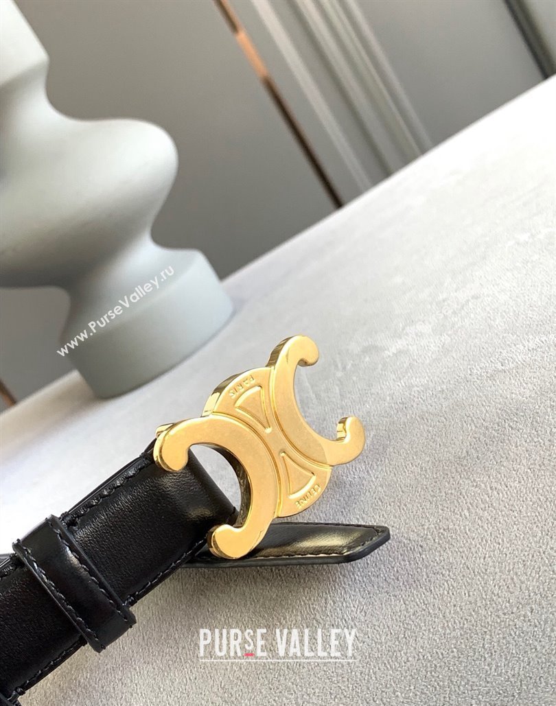 Celine 2.5cm Medium Triomphe Belt 16 (99belt-23122866)