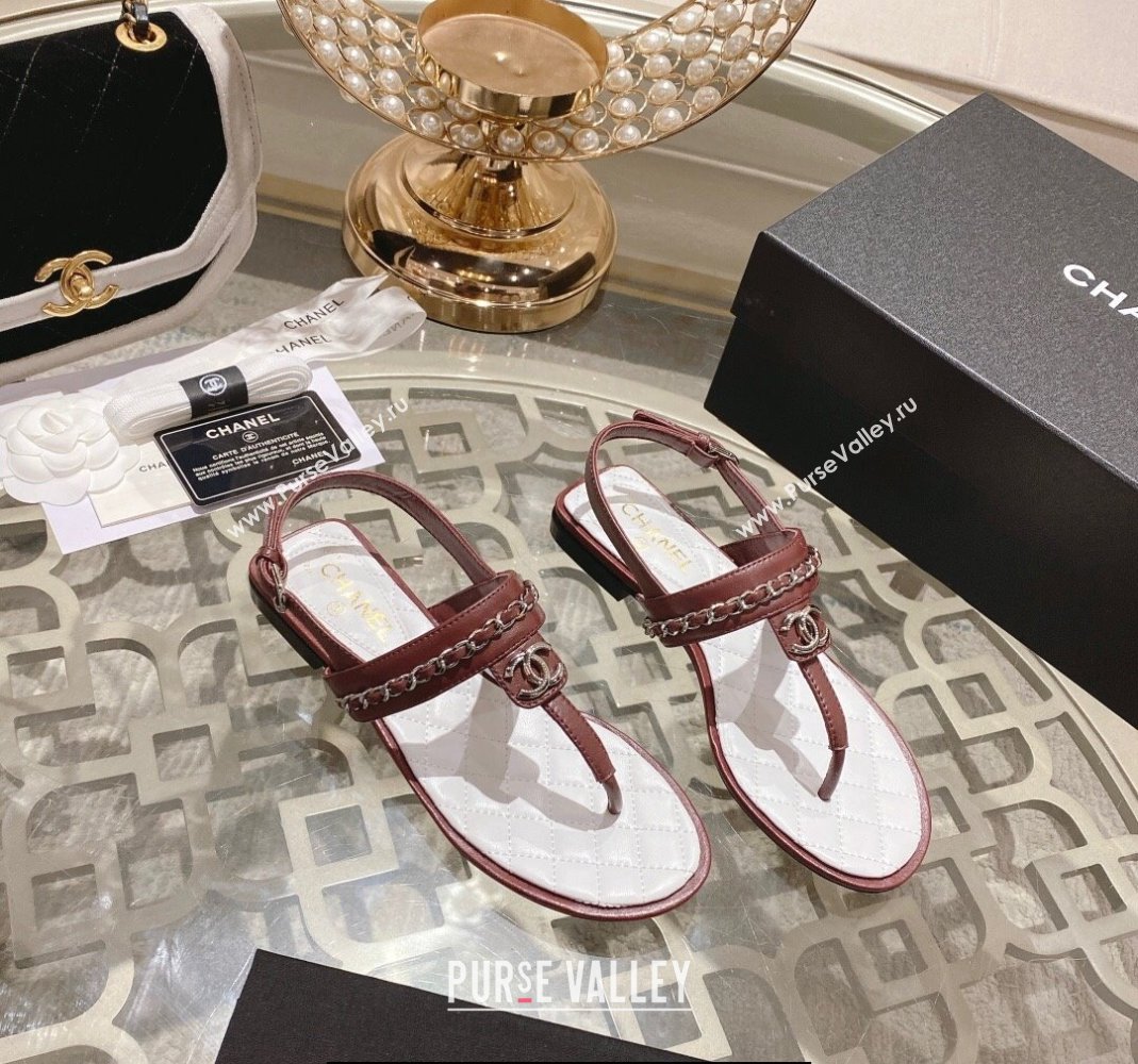 Chanel Lambskin CC Logo Chain Thong Sandals Brown 2024 (modeng-24011840)