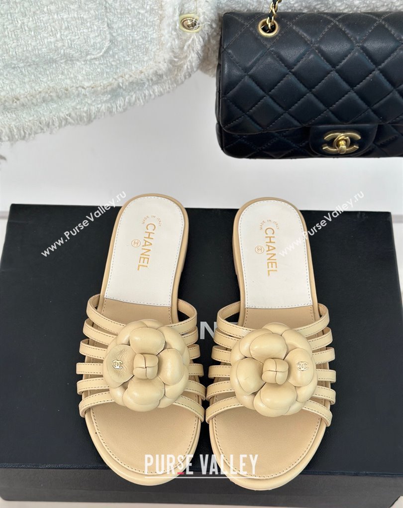 Chanel Lambskin tubular Mules with Camellia Beige 2024 (modeng-24011830)