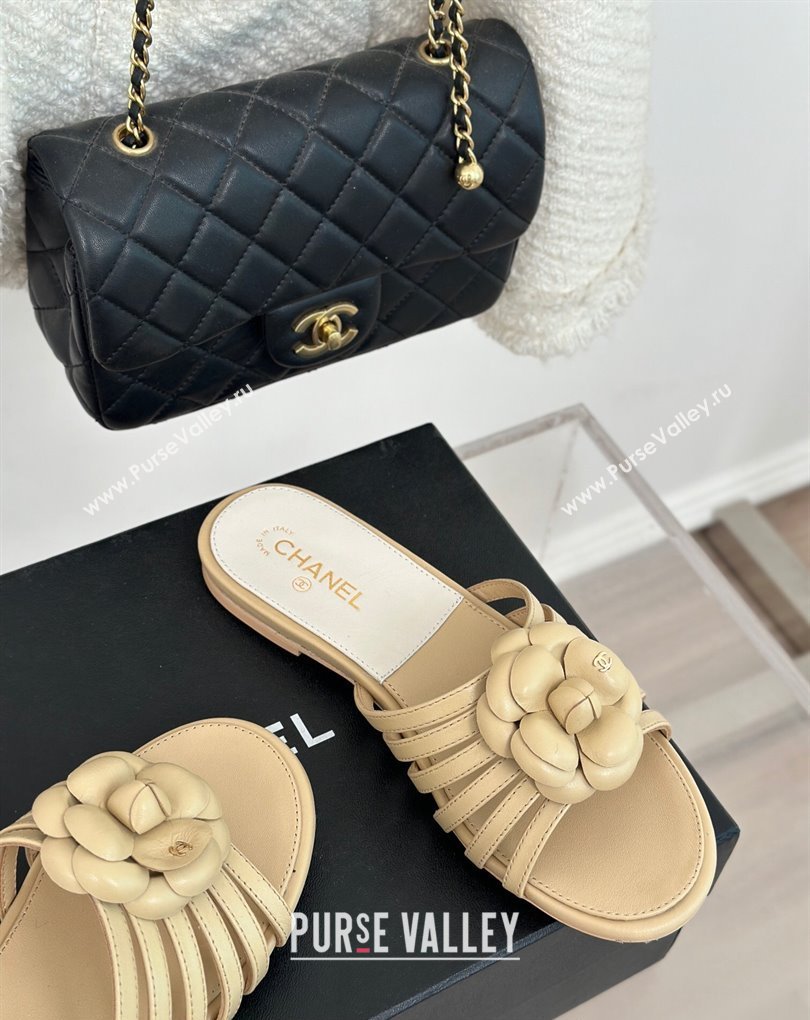 Chanel Lambskin tubular Mules with Camellia Beige 2024 (modeng-24011830)