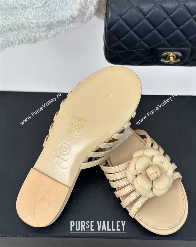 Chanel Lambskin tubular Mules with Camellia Beige 2024 (modeng-24011830)