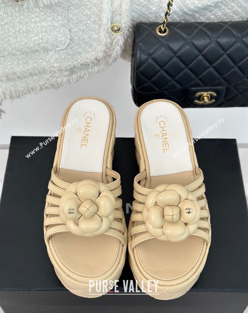 Chanel Lambskin tubular Platform Mules with Camellia Beige 2024 (modeng-24011827)