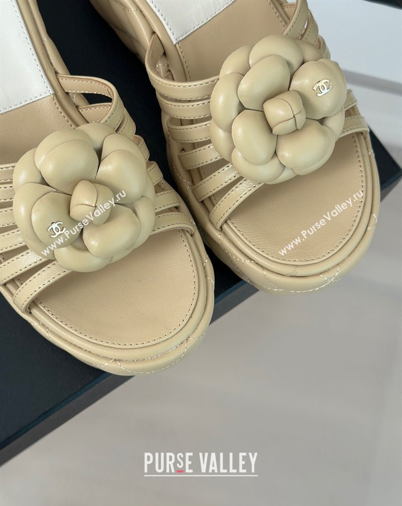 Chanel Lambskin tubular Platform Mules with Camellia Beige 2024 (modeng-24011827)