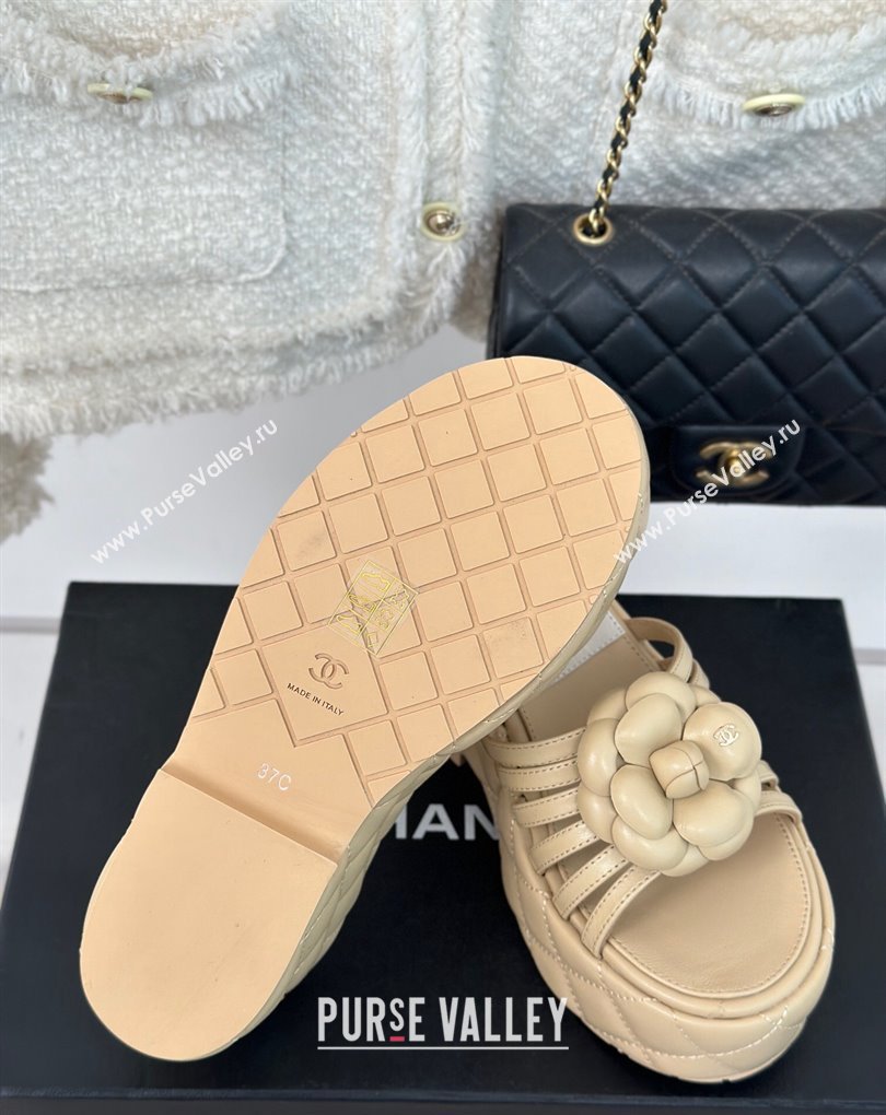 Chanel Lambskin tubular Platform Mules with Camellia Beige 2024 (modeng-24011827)