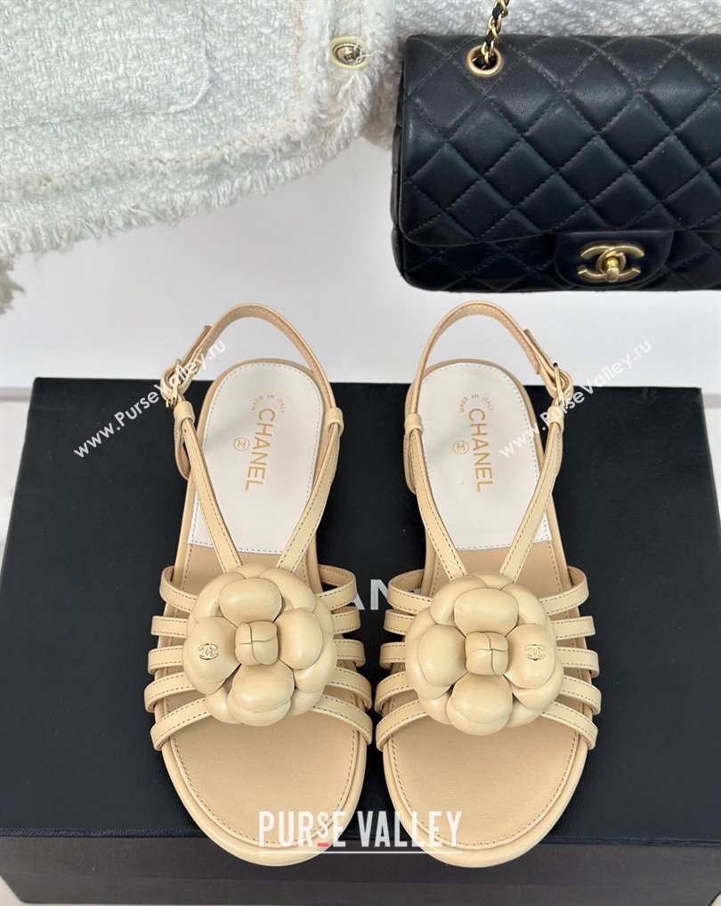 Chanel Lambskin tubular Sandals with Camellia Beige 2024 (modeng-24011824)