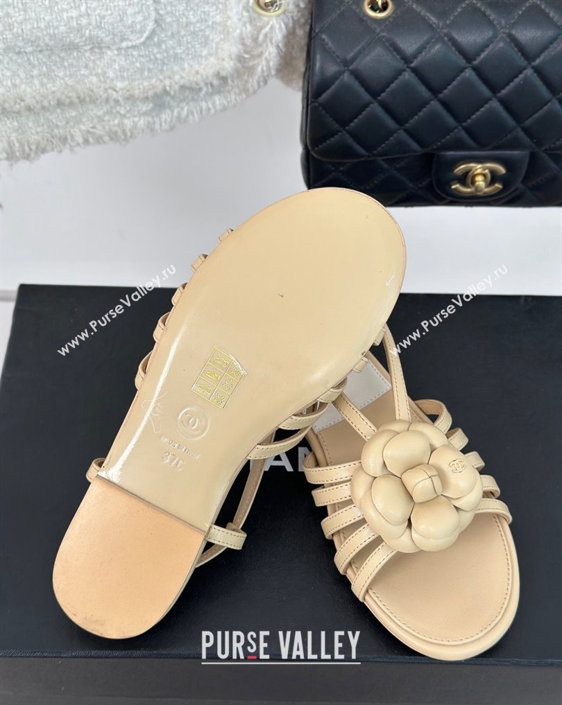 Chanel Lambskin tubular Sandals with Camellia Beige 2024 (modeng-24011824)