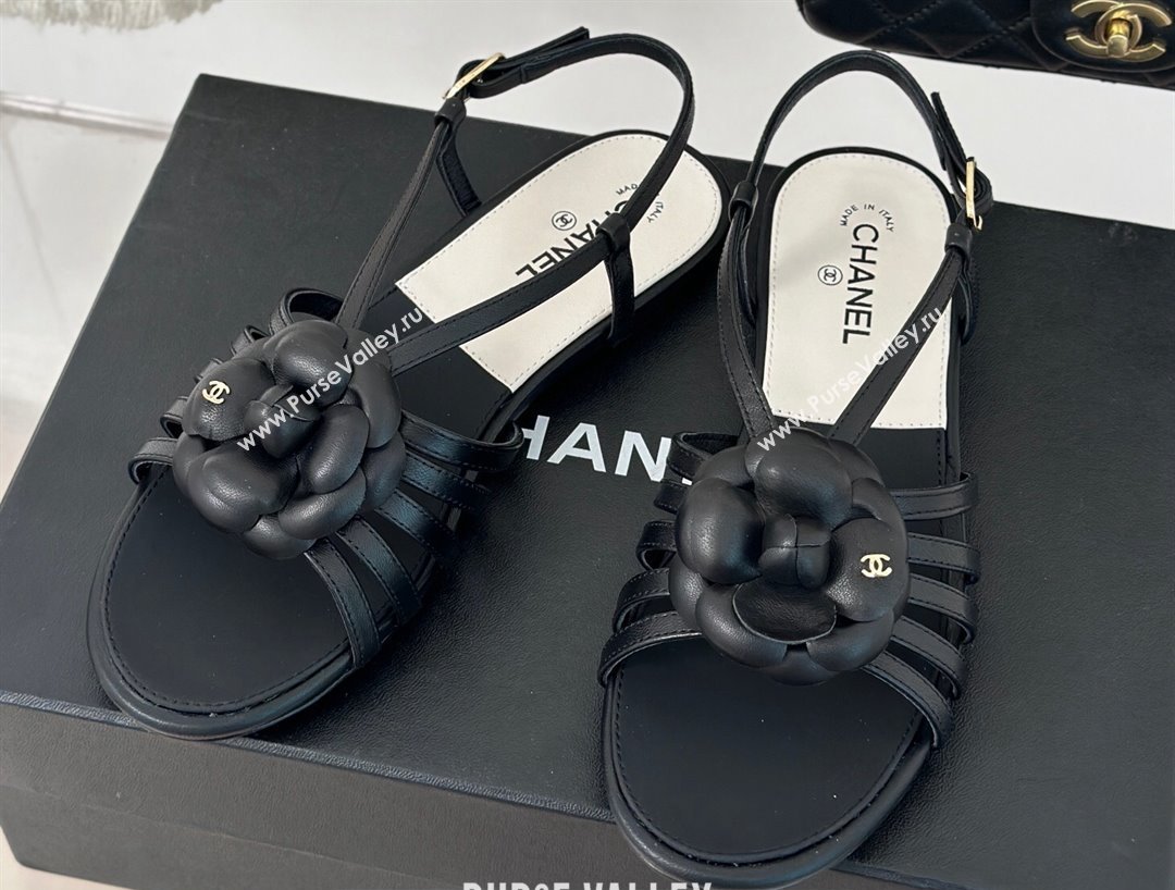 Chanel Lambskin tubular Sandals with Camellia Black 2024 (modeng-24011822)