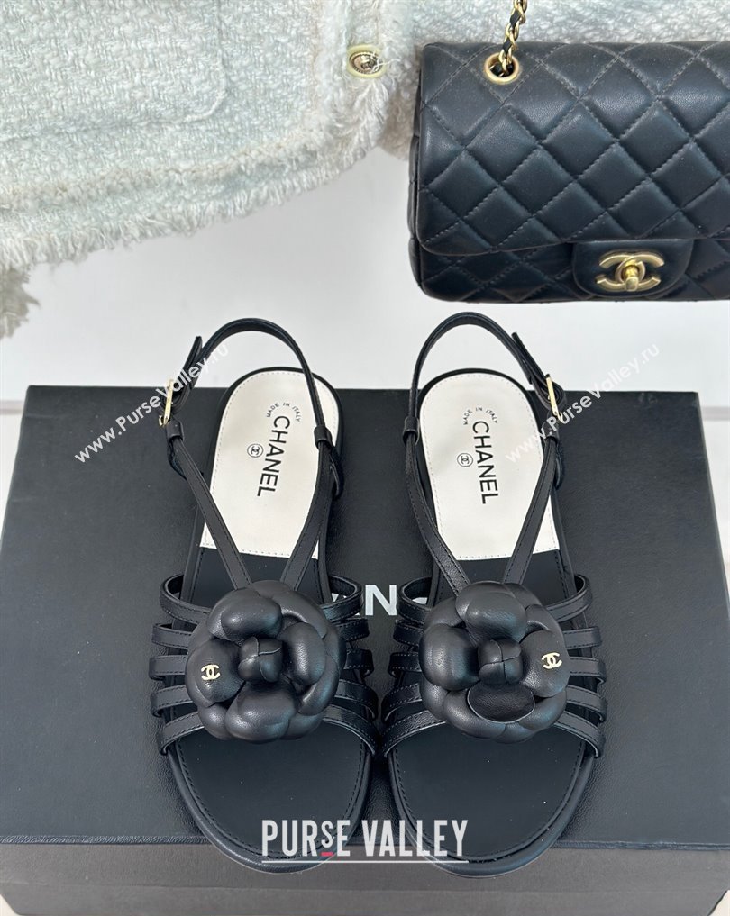 Chanel Lambskin tubular Sandals with Camellia Black 2024 (modeng-24011822)