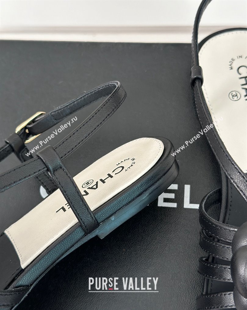 Chanel Lambskin tubular Sandals with Camellia Black 2024 (modeng-24011822)