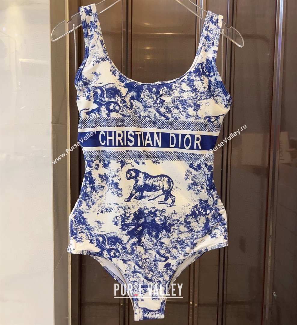 Dior Swimsuit 06 2024 (xmv-240125d06)