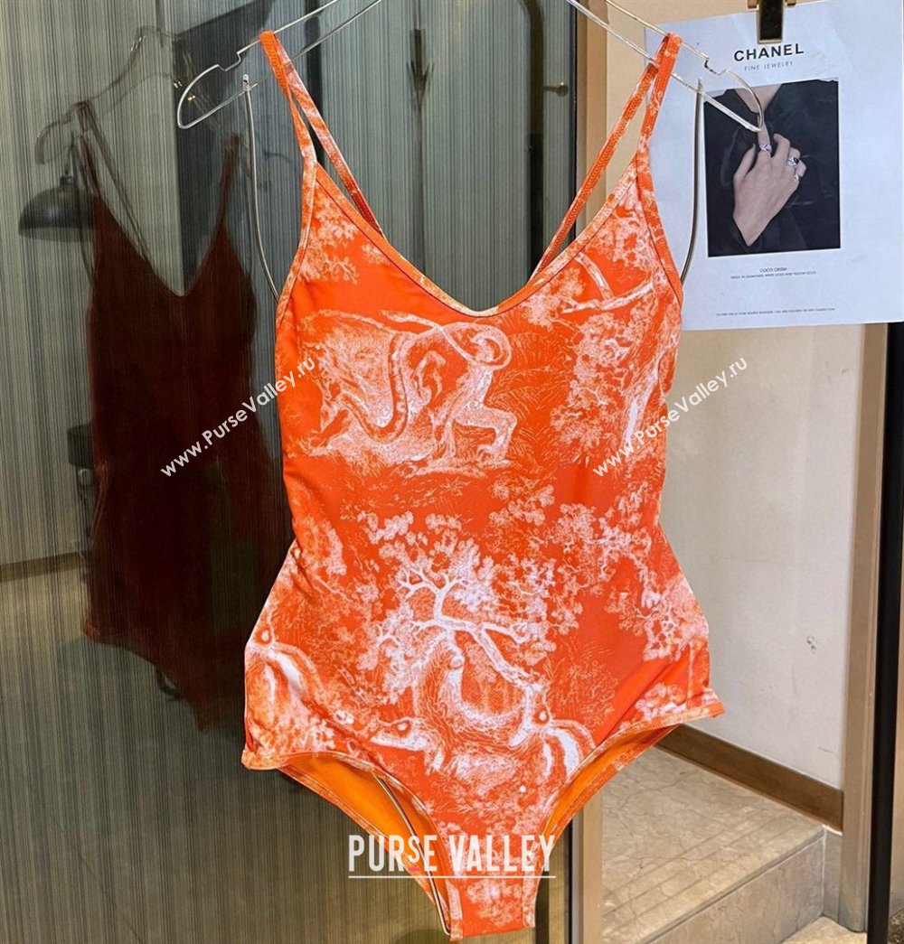 Dior Swimsuit 08 2024 (xmv-240125d08)