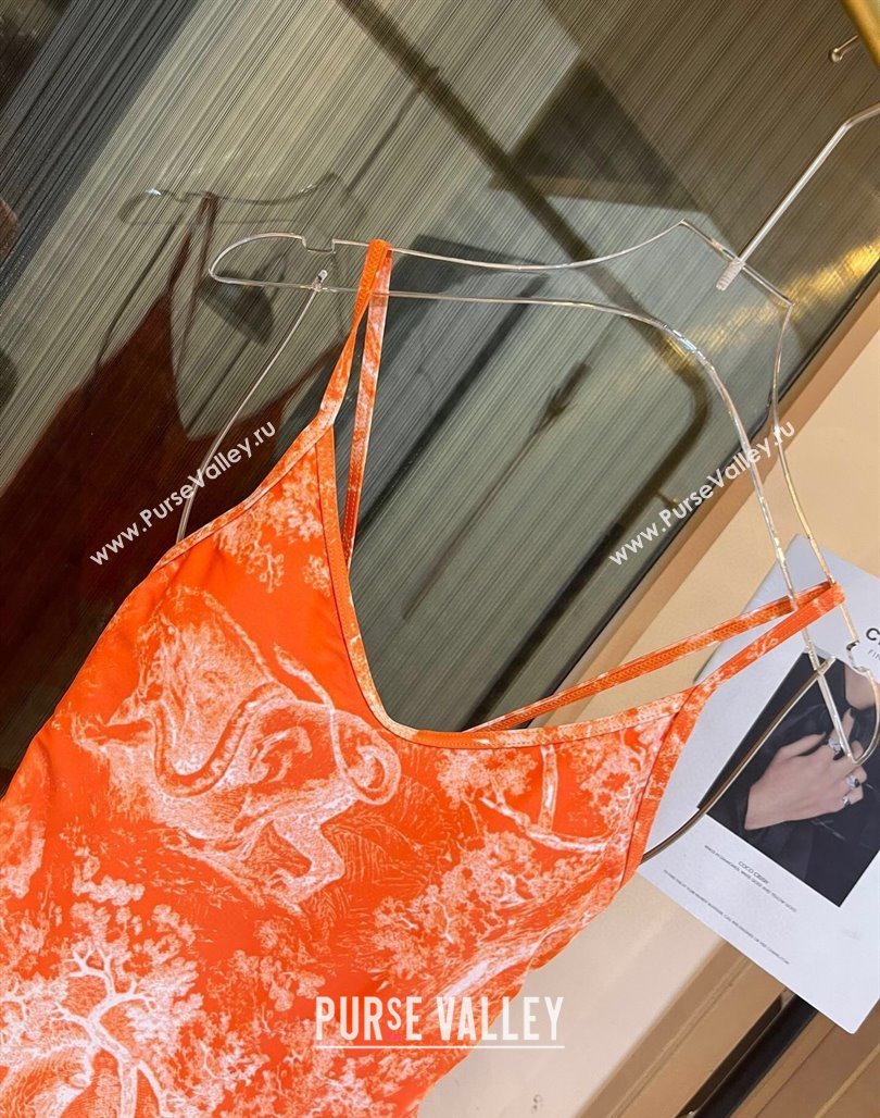 Dior Swimsuit 08 2024 (xmv-240125d08)