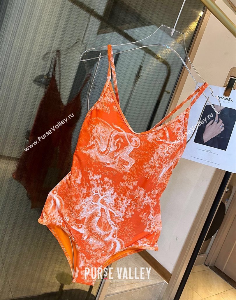 Dior Swimsuit 08 2024 (xmv-240125d08)