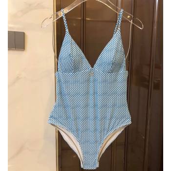Dior Swimsuit 14 2024 (xmv-240125d14)