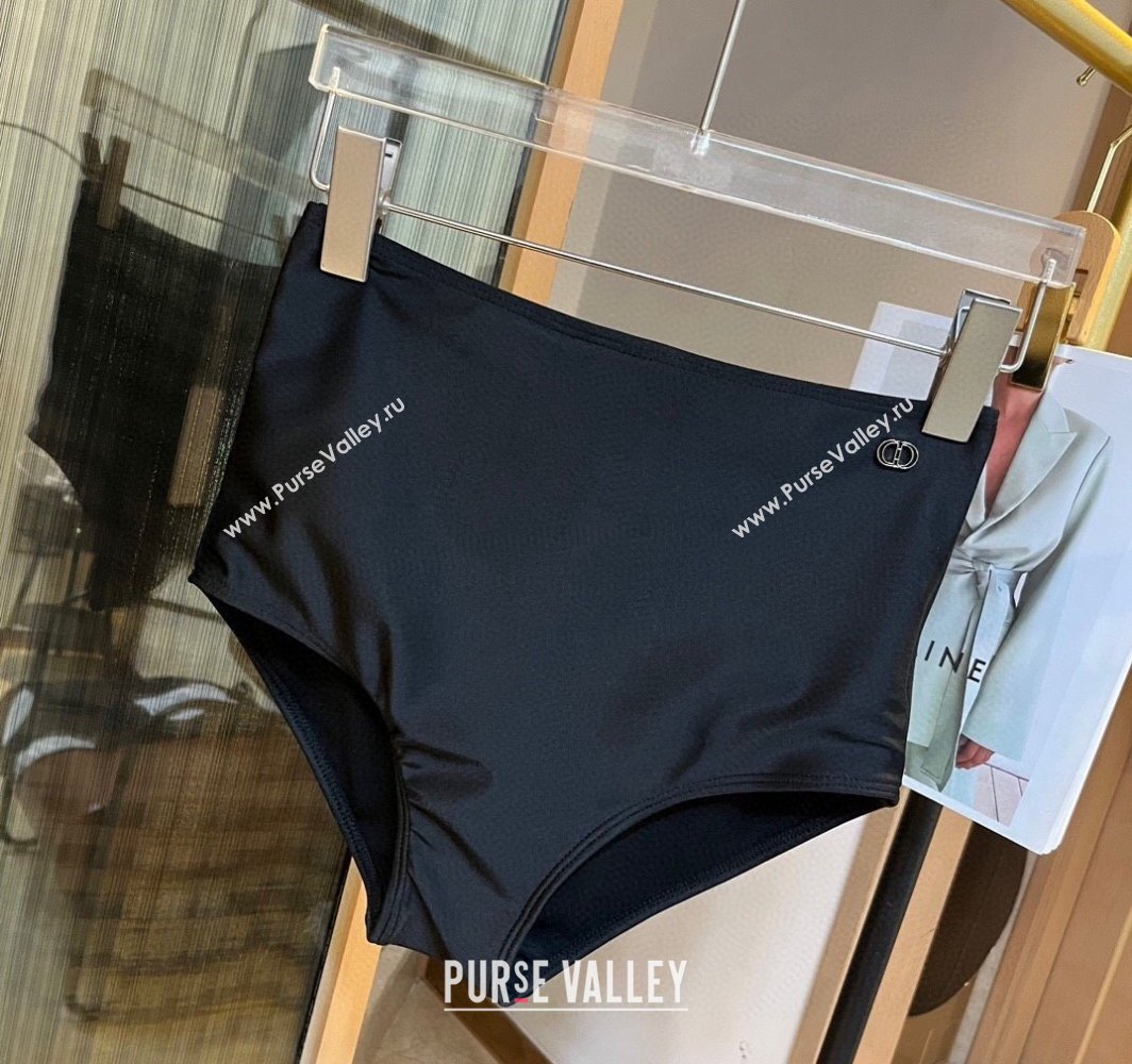 Dior Swimsuit 17 2024 (xmv-240125d17)