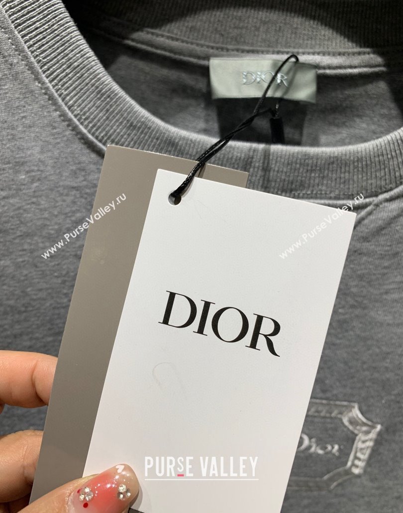 Christian Dior Couture Relaxed-Fit Mens T-shirt in Gray Organic Cotton Jersey 2024 (fangfang-24012717)