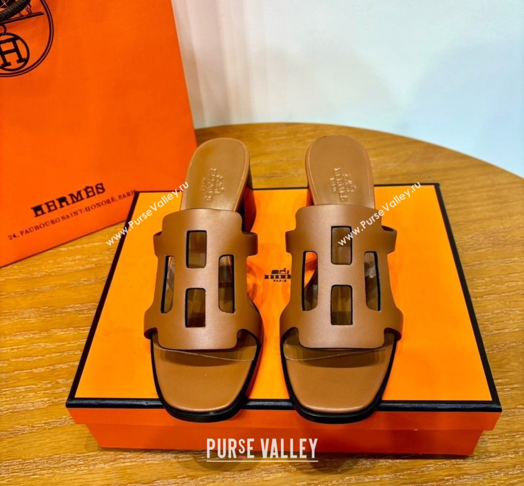 Hermes Izzy 60 sandals Brown in Calfskin with H cut-out Top Quality 2024 (mingdu-24022637)