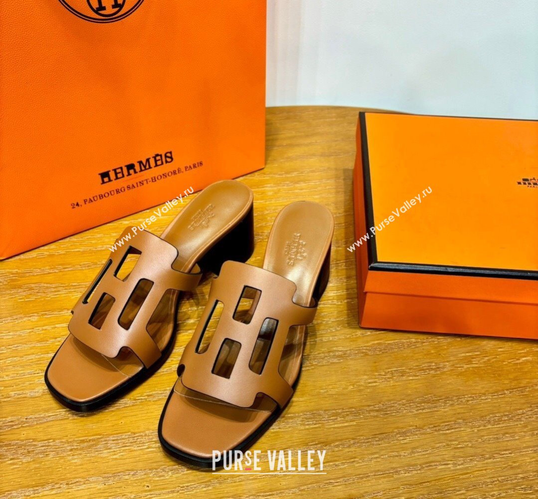 Hermes Izzy 60 sandals Brown in Calfskin with H cut-out Top Quality 2024 (mingdu-24022637)