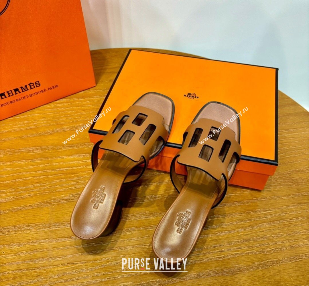 Hermes Izzy 60 sandals Brown in Calfskin with H cut-out Top Quality 2024 (mingdu-24022637)