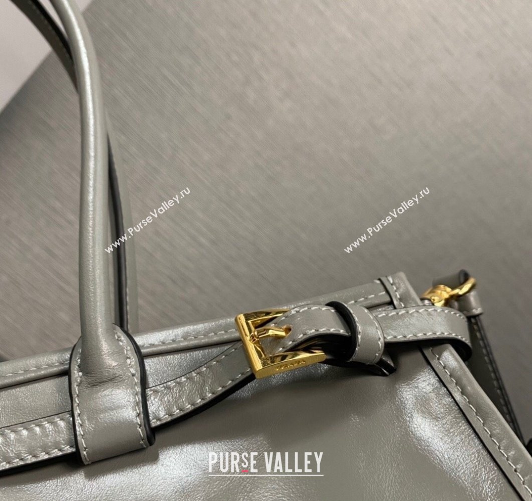 Prada Medium leather handbag with Long Handle 1BA426 Gray 2024 (ziyin-24022860)