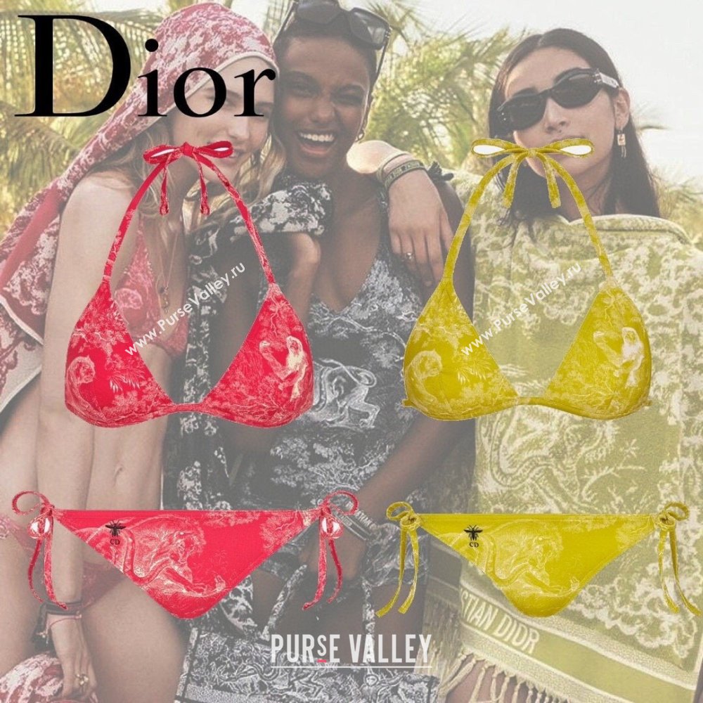 Dior Swimsuit 25 2024 (shishang-240229d25)