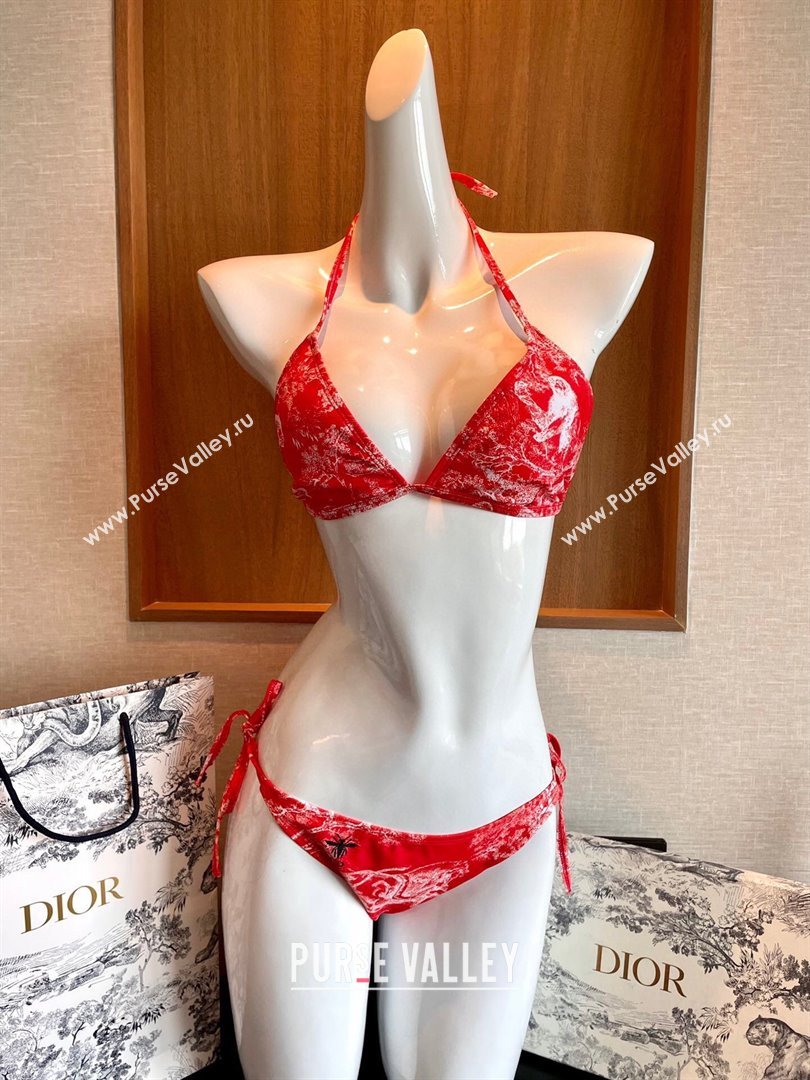 Dior Swimsuit 25 2024 (shishang-240229d25)