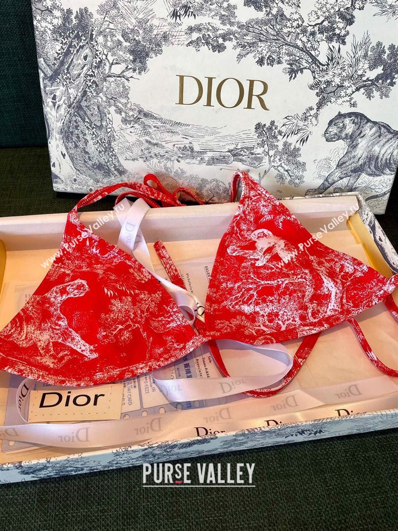 Dior Swimsuit 25 2024 (shishang-240229d25)