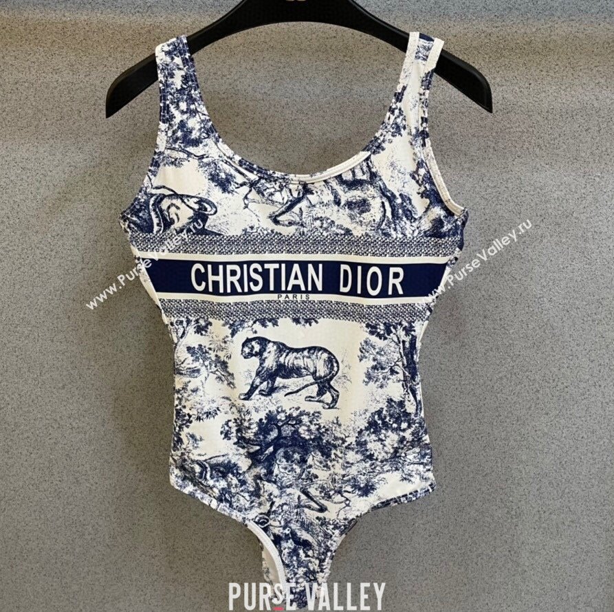 Dior Swimsuit 31 2024 (shishang-240229d31)