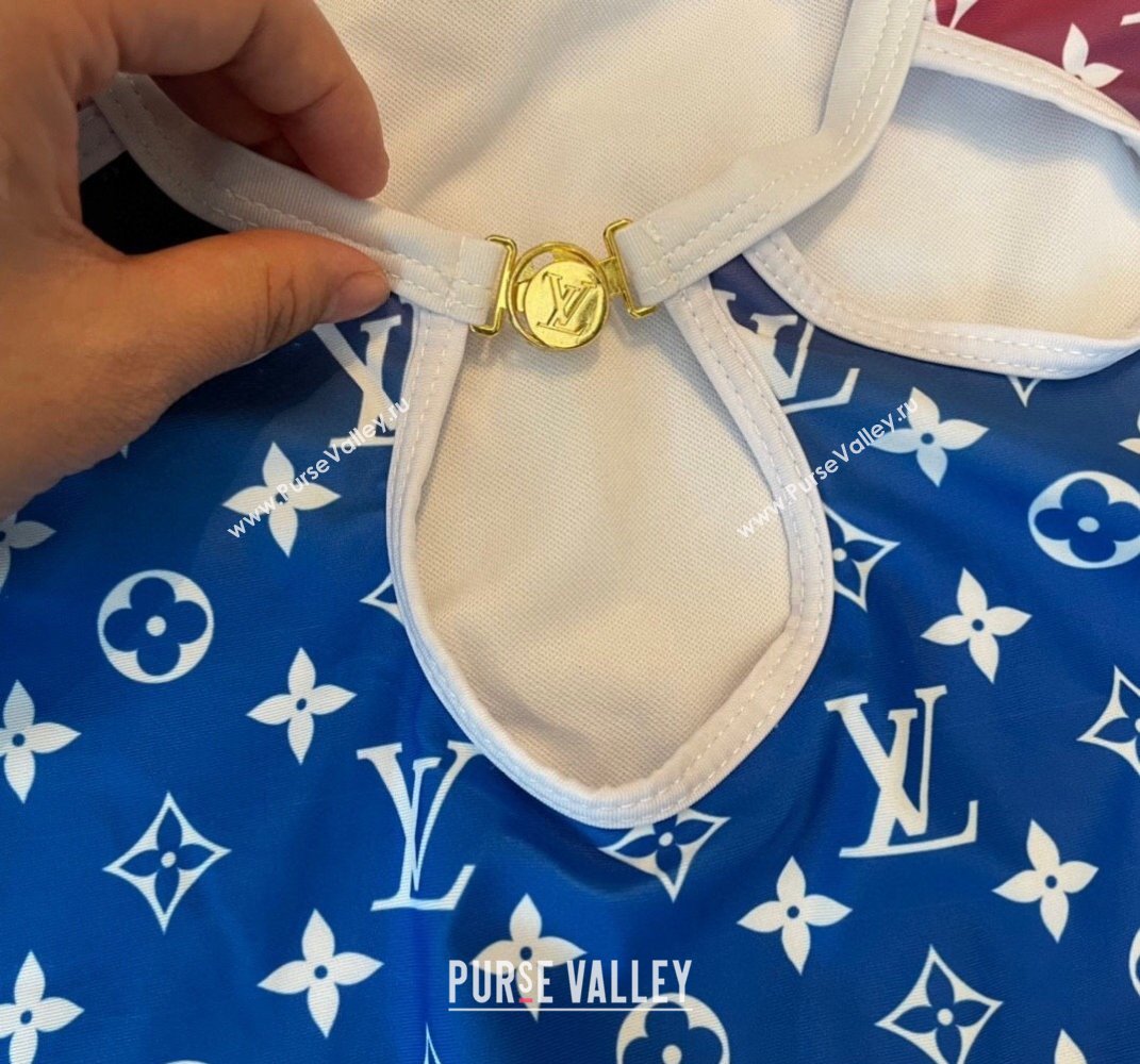 Louis Vuitton Swimsuit 29 2024 (shishang-240229t29)