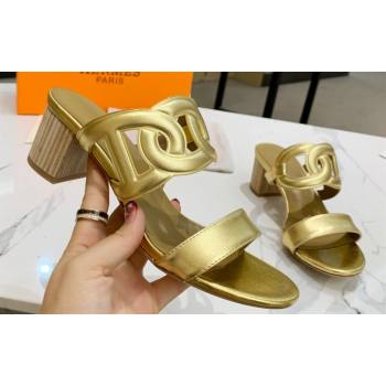 Hermes Heel 5.5cm Bikini sandals Gold with oversized Chaine dAncre (guodong-24030432)