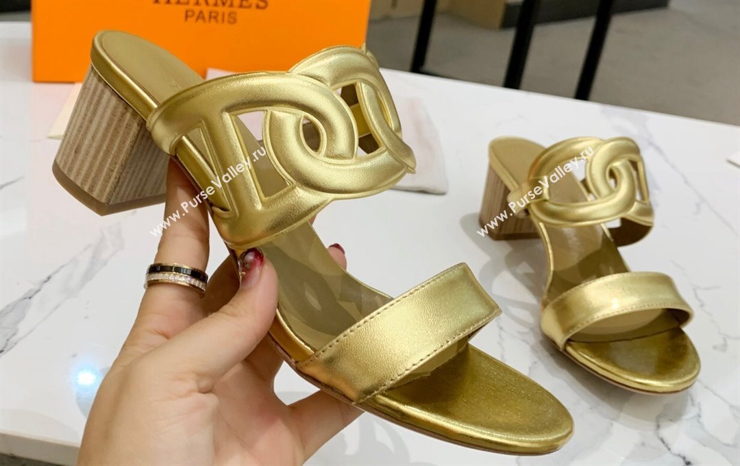 Hermes Heel 5.5cm Bikini sandals Gold with oversized Chaine dAncre (guodong-24030432)