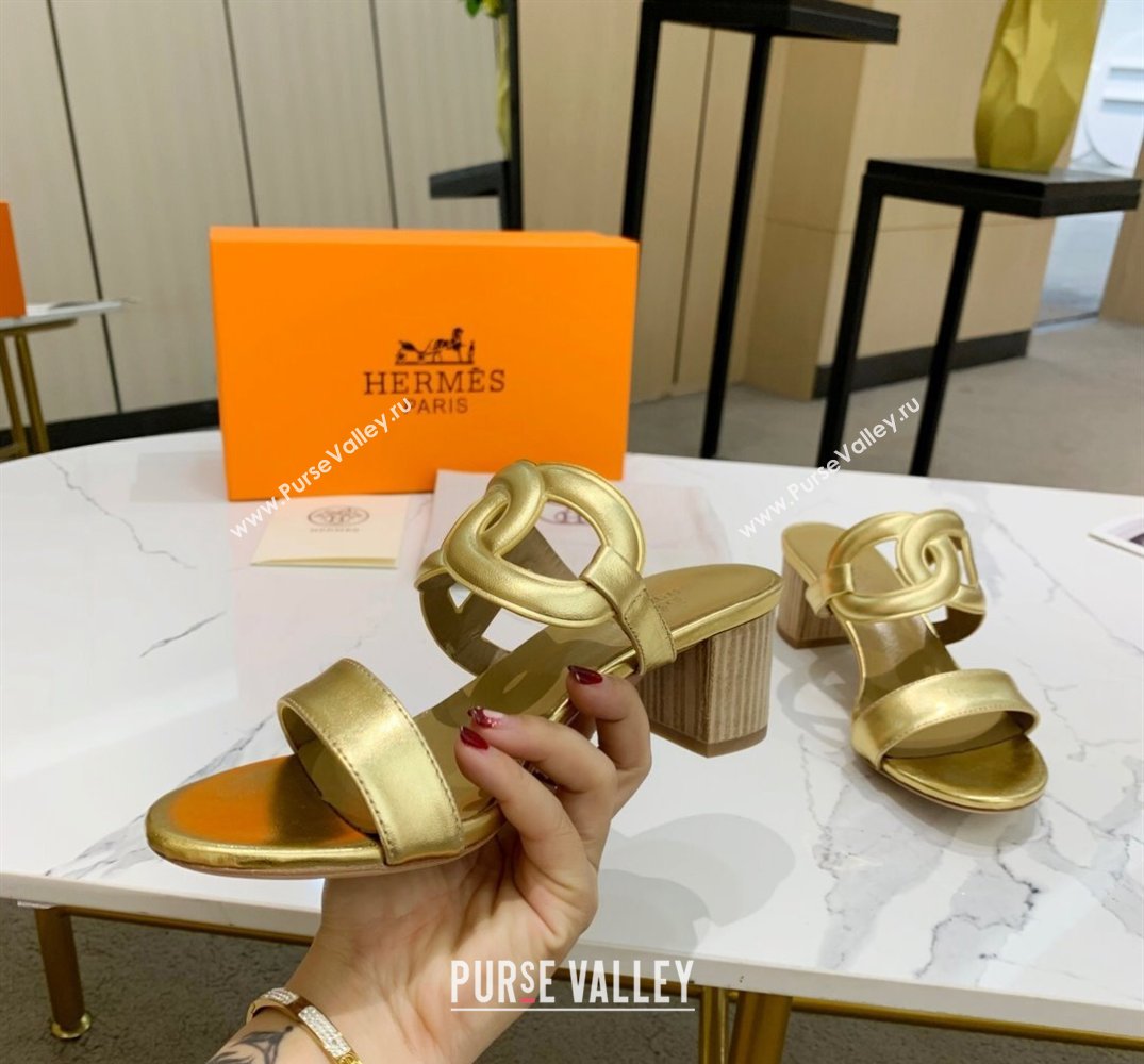 Hermes Heel 5.5cm Bikini sandals Gold with oversized Chaine dAncre (guodong-24030432)