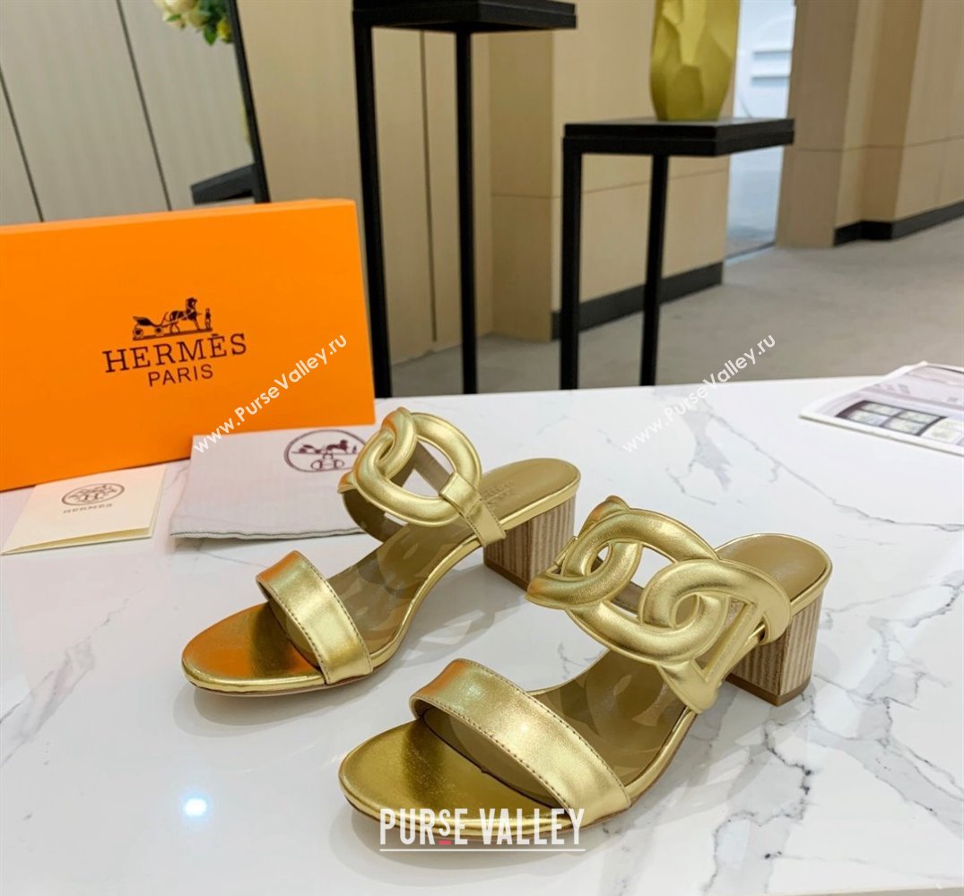 Hermes Heel 5.5cm Bikini sandals Gold with oversized Chaine dAncre (guodong-24030432)