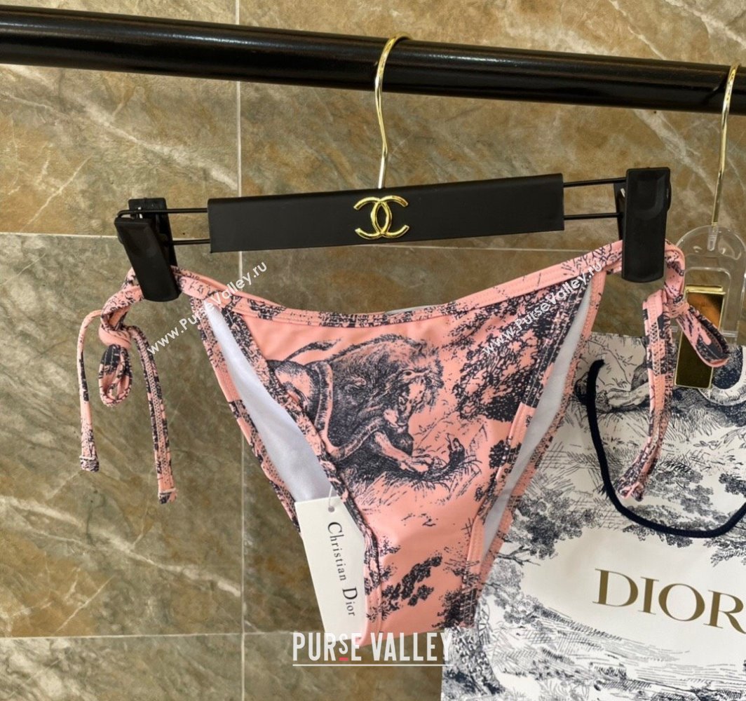 Dior Swimsuit 32 2024 (shishang-240229d32)