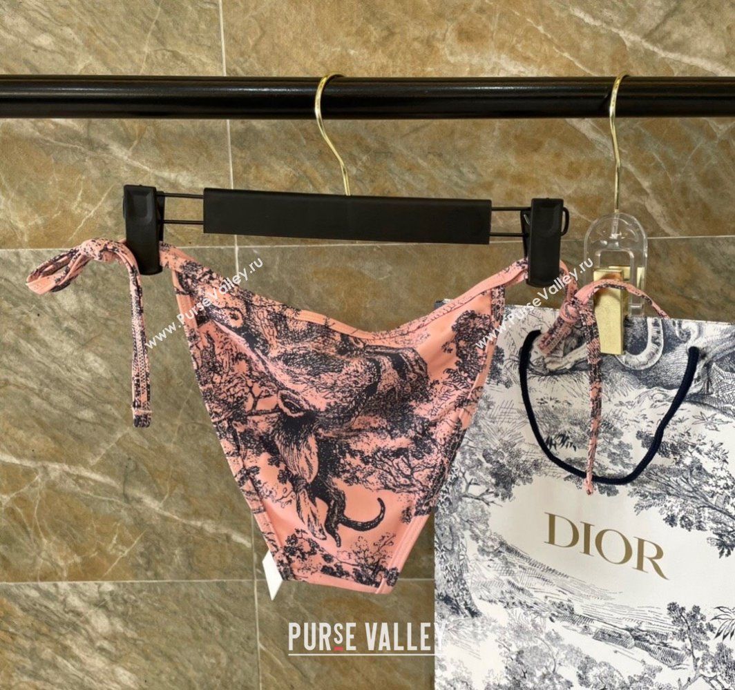 Dior Swimsuit 32 2024 (shishang-240229d32)