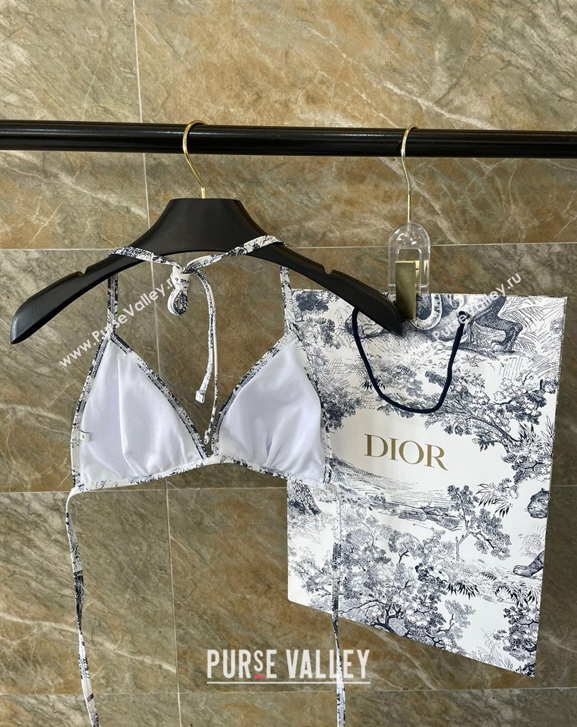 Dior Swimsuit 33 2024 (shishang-240229d33)