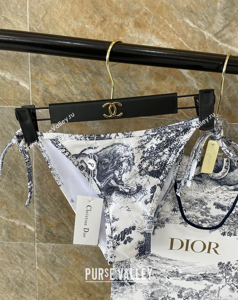 Dior Swimsuit 33 2024 (shishang-240229d33)