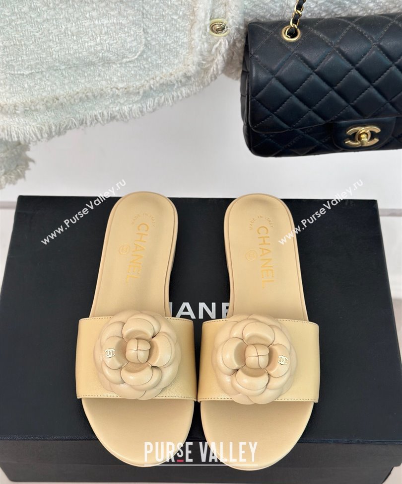 Chanel Heel 1.5cm Lambskin Mules with Camellia G45499 Beige 2024 (modeng-24030419)