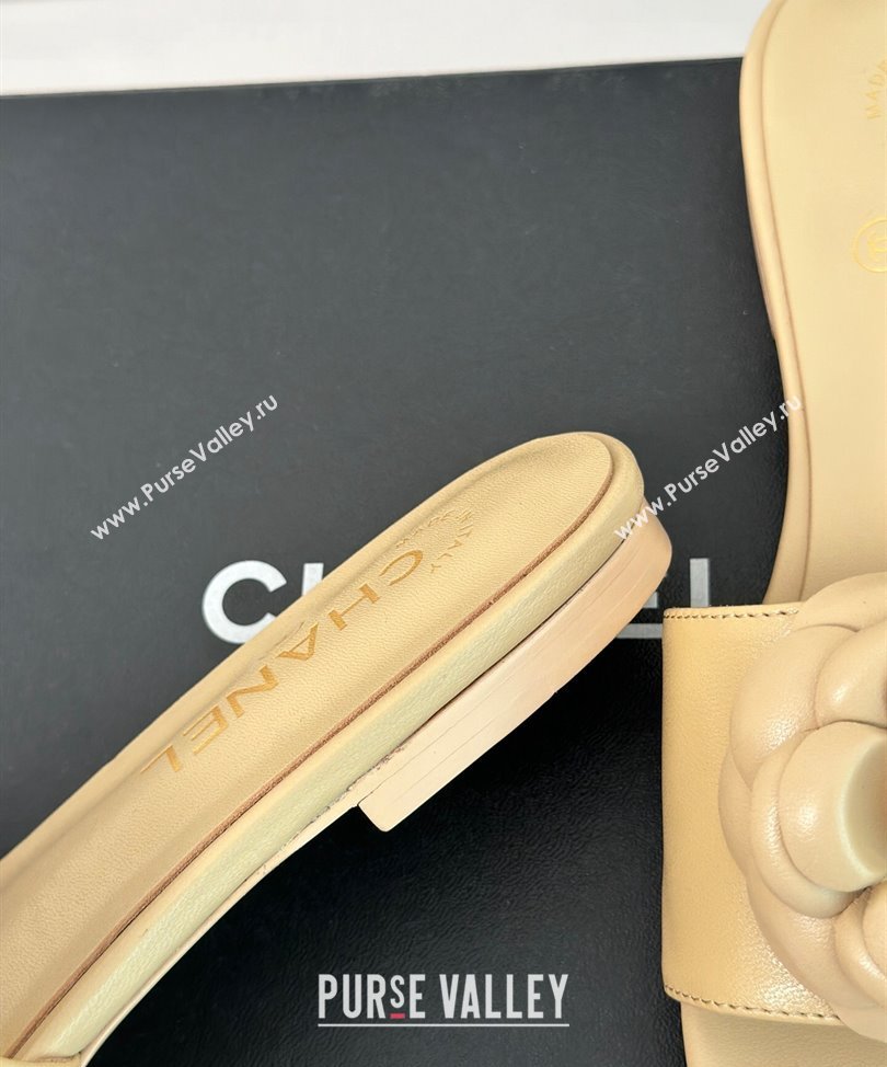 Chanel Heel 1.5cm Lambskin Mules with Camellia G45499 Beige 2024 (modeng-24030419)