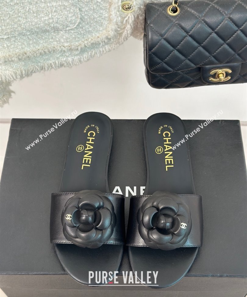 Chanel Heel 1.5cm Lambskin Mules with Camellia G45499 Black 2024 (modeng-24030417)