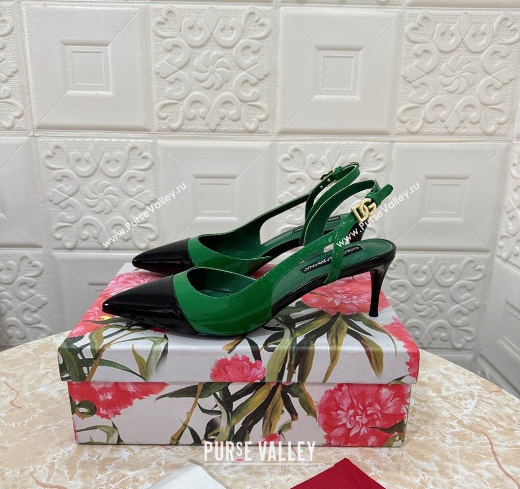 Dolce Gabbana Heel 6.5cm Patent leather slingbacks Black/Green 2024 (modeng-24032803)