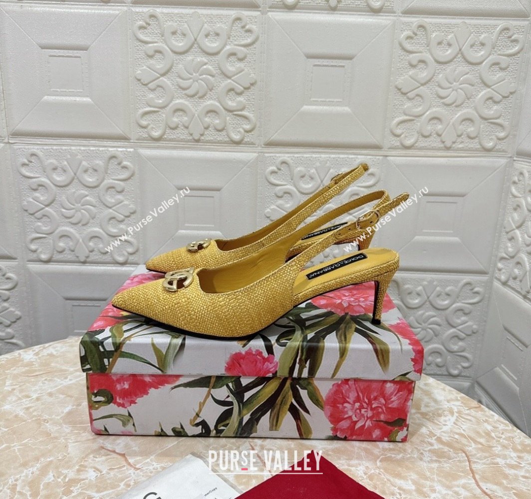 Dolce Gabbana Heel 6.5cm Raffia slingbacks Yellow 2024 (modeng-24032820)