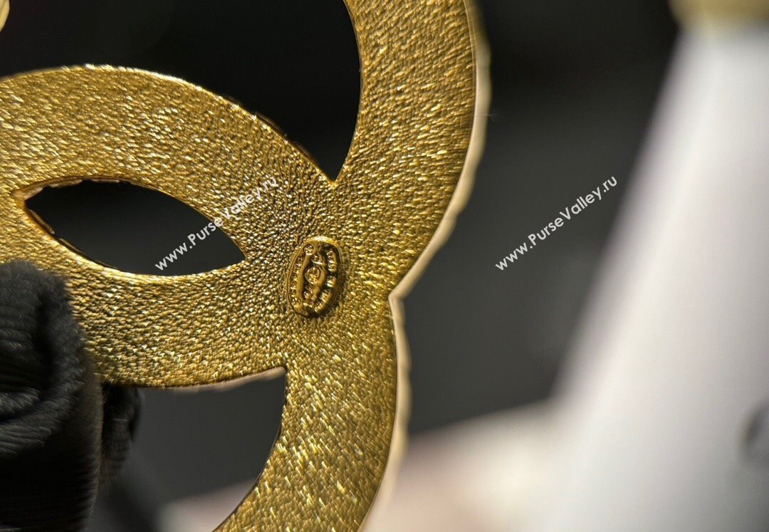 Chanel Brooch 04 2024 (YF-240318c24)