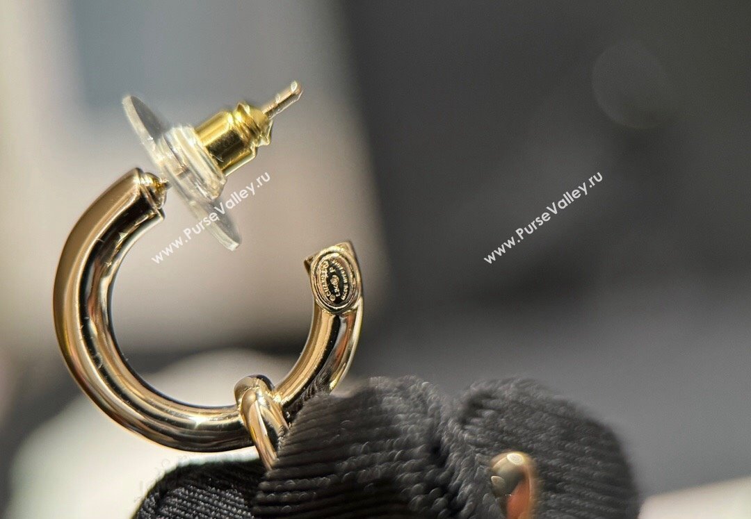Chanel Earrings 03 2024 (YF-240318c03)