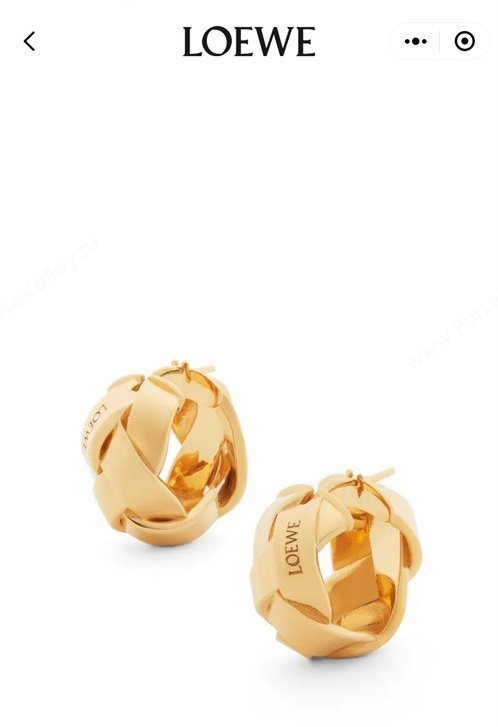 Loewe Earrings 03 2024 (YF-240318c43)