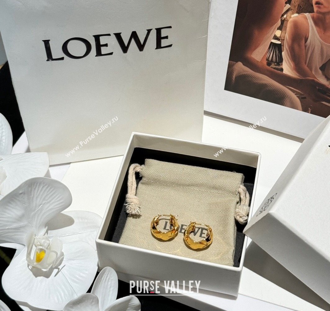 Loewe Earrings 03 2024 (YF-240318c43)