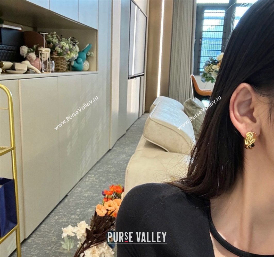 Loewe Earrings 03 2024 (YF-240318c43)