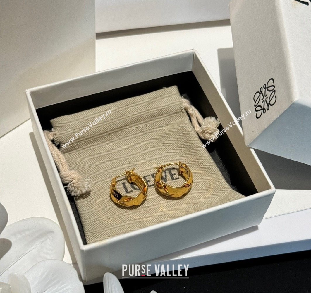 Loewe Earrings 03 2024 (YF-240318c43)