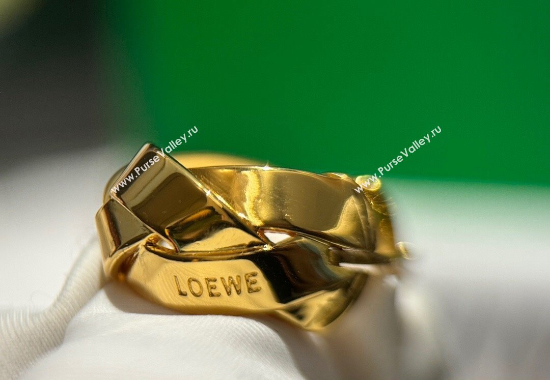 Loewe Earrings 03 2024 (YF-240318c43)